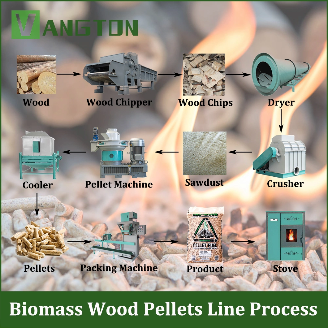 Ring Die Pelletizer 560 760 860 Model Rice Husk Straw Sawdust Biomass Wood Pellet Machine/Mill for Wheat Straw Coconut Palm Leaf Briquette Pelletizing