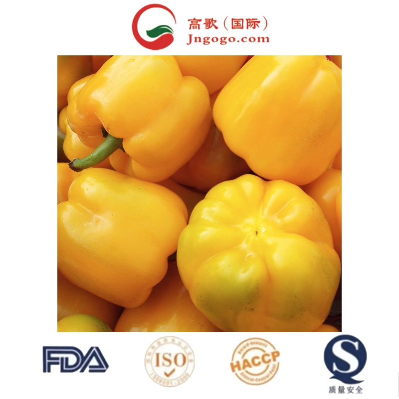 Wholesaler Chilli Natural Fresh High Quality Seasoning Chili Seeds Direct Factory