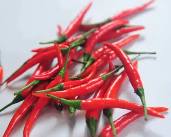 Hot Chilli Seeds Hybrid-Gemüsesamen, Pfeffersamen zur Aussaat