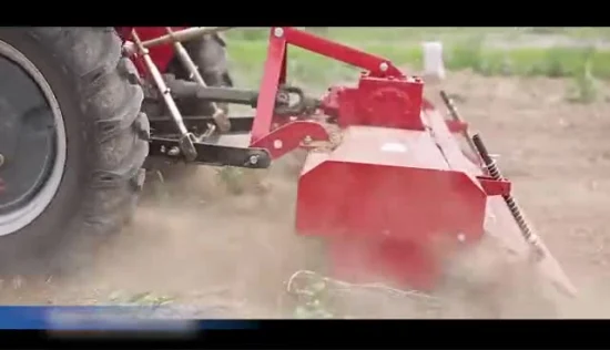 1gqn-165 Serie Landmaschinen Motorhacken Grasschneider Mini Grubber Bodenfräse von Farm