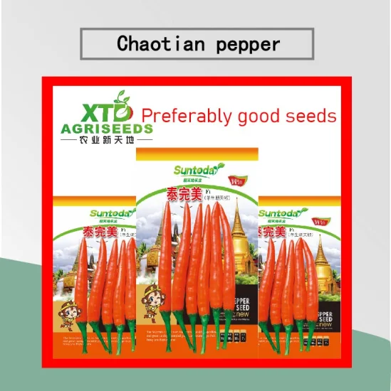 Suntoday Green Hot Chilli Upper Seeds