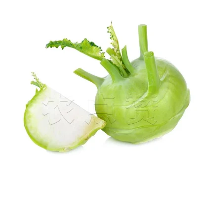 Knackige und zarte frische Kohlrabisamen