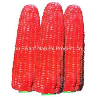 50 g/Packung Hybrid F1 essbare rote Maissamen für den Obstanbau zum Pflanzen